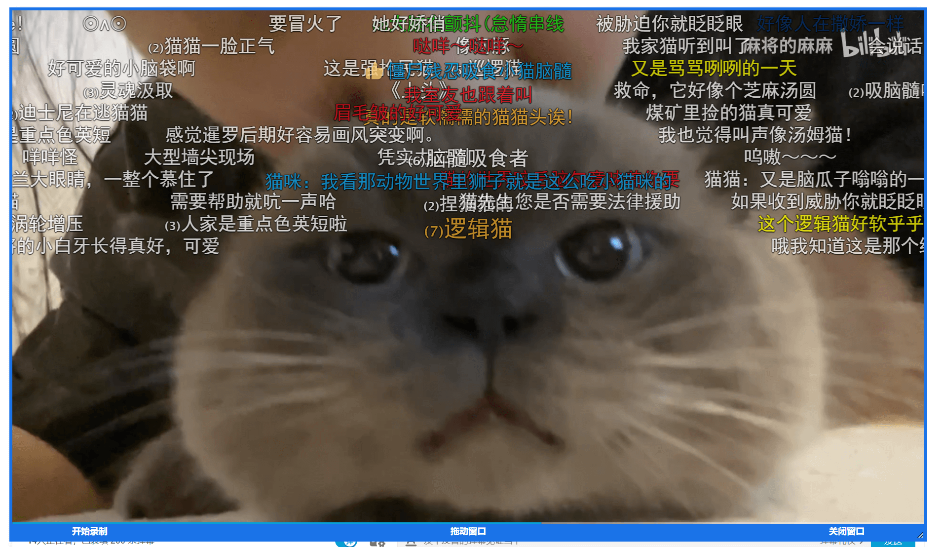 屏幕捕捉